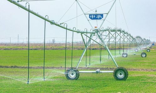 田间地头 一派农忙