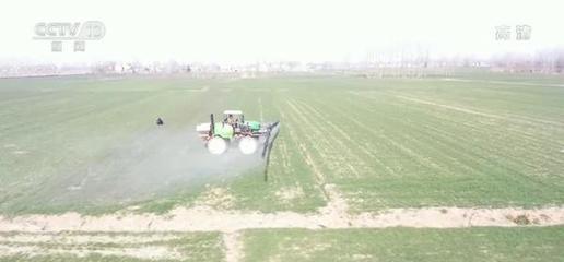 低温保生产 | 小麦主产区多措并举应对“倒春寒” 做好小麦田间管理