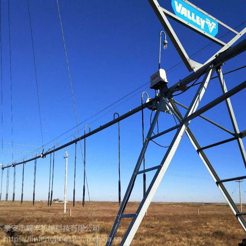 视频介绍 中国供应商