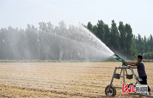 抗旱保夏播 河北多地农田喝上 解渴 水凤凰网河北 凤凰网