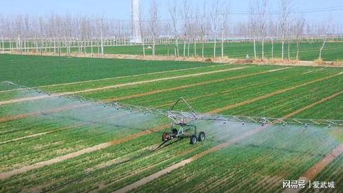 全自动喷灌 神器 让麦苗喝足返青水