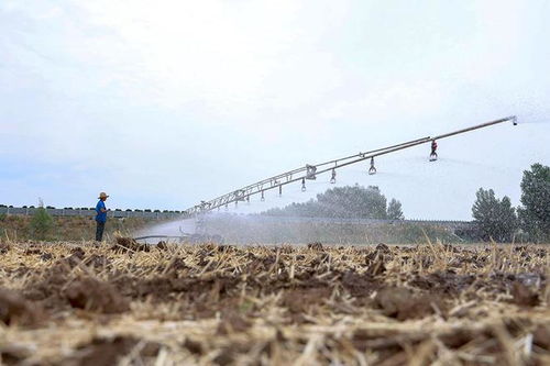 千方百计调度水源 多地农技实招抗旱保夏播
