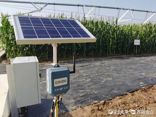 减损率5 以上 济南这个国家级示范中心 隐藏 这些粮食黑科技