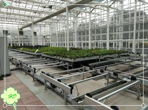 全自动物流苗床升级版移动苗床