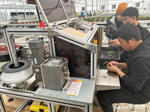 追着雪花看新疆 在昌吉遇见未来农业 果蔬种植全是 黑科技