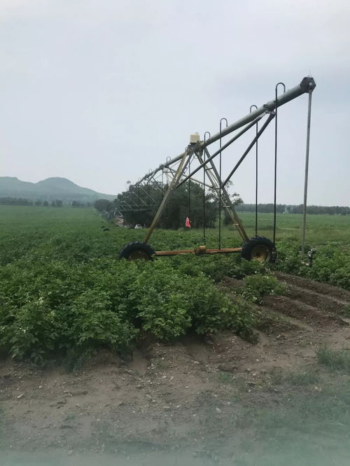 融资租赁,活体租赁 微租赁输血特色产业规模化发展