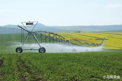 美国农场指针灌溉1个圆圈上千亩,1个人同时操作100台,省75 劳力