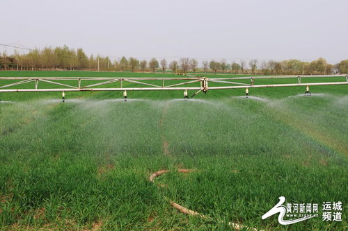 运城 智能机械农机为农业按下科技 快捷键