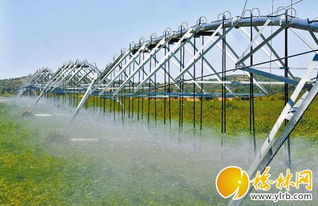 榆林农业步入提质增效 黄金期