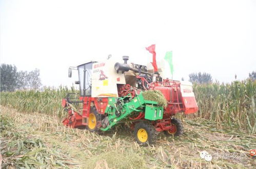 首届黄淮海 农机英雄榜揭晓 春秋季高产配套植保 犁播灌割 运储加工农机品牌产品风采展示 30家