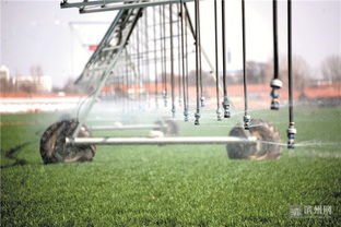 邹平高新万多亩土地享受 巨无霸 高效喷灌沐浴