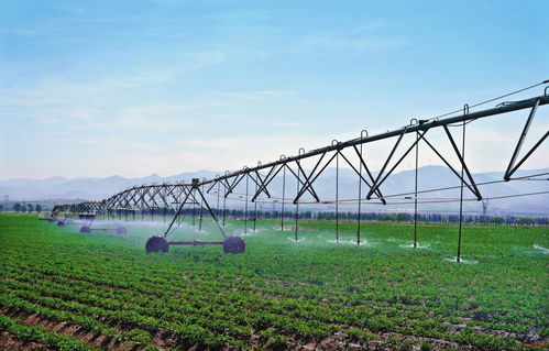 奋力绘就乡村振兴忻州美好图景