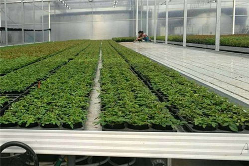 古交市农田喷灌机价格优