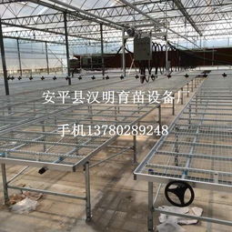 安平县育苗设备厂喷灌机 现代农业的节水高效利器