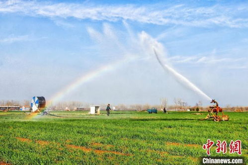 河南柘城 天暖抢农时 春灌春管忙