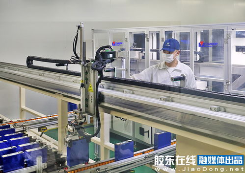 绿动齐鲁 “碳”路未来——德晋新能源赵方君的“芯”追绿之路