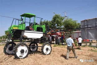 邯郸麦收迈向智能化 GPS导航与微信下单引领高效农业